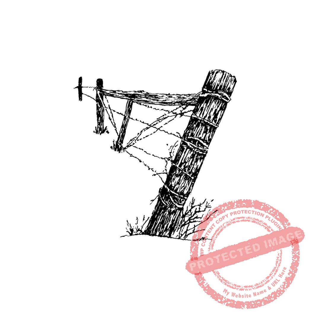 Fence Post With Barbed Wire T1-008 C
