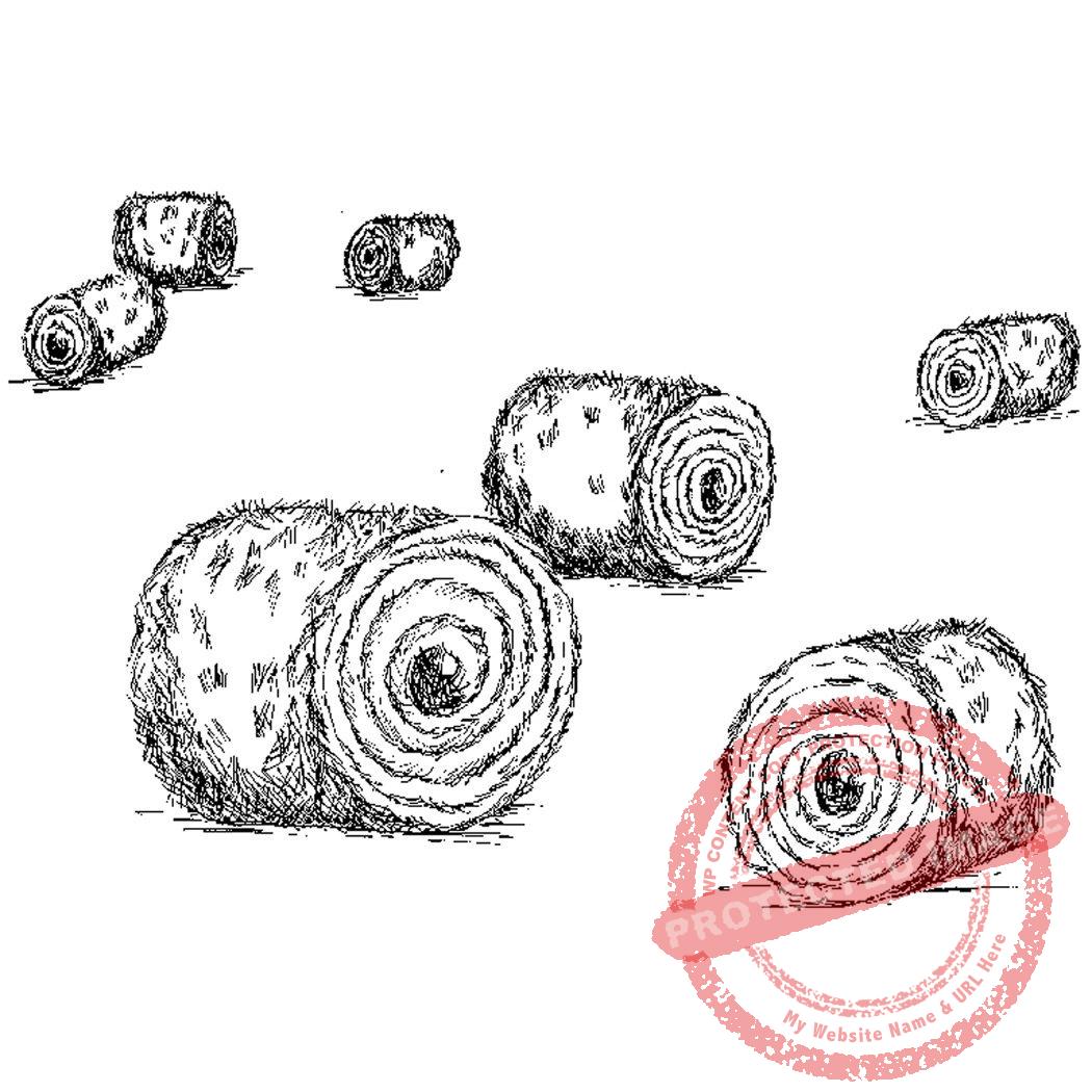 Round Bales M1-020 D