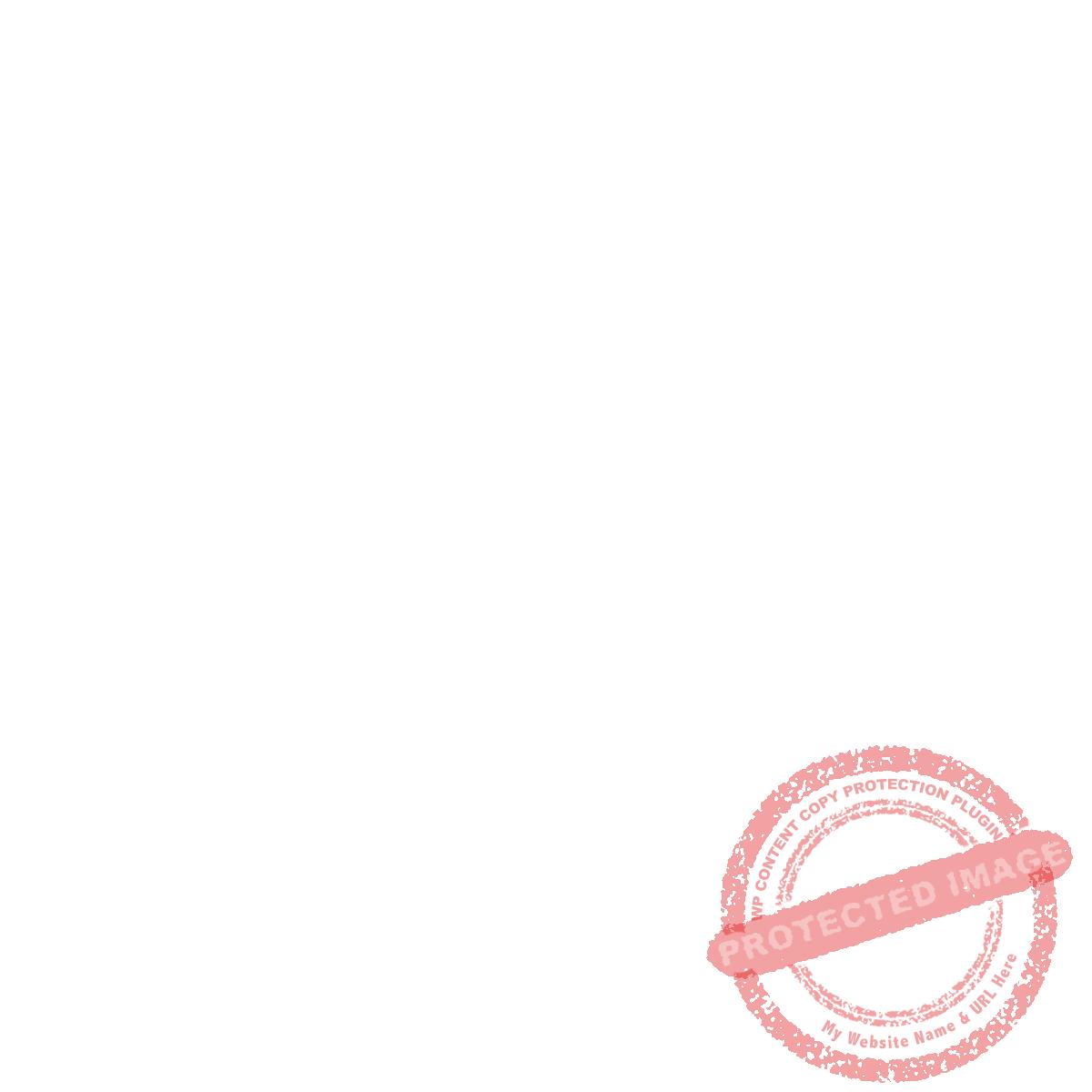 80# Brite White Smooth Cardstock