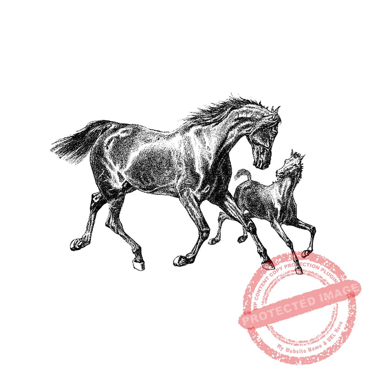 Mare with Foal T6-138 E