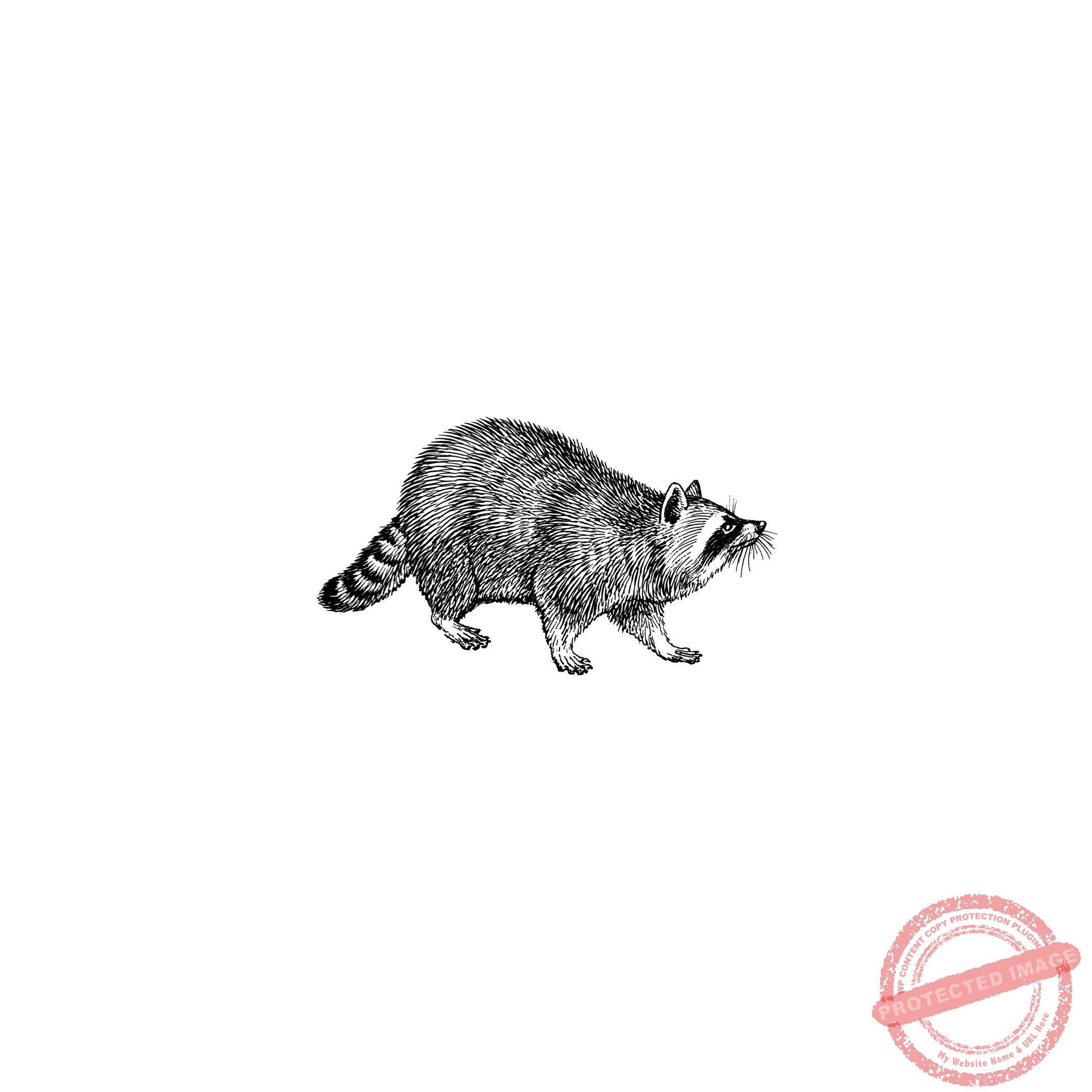 Raccoon T5-112 B