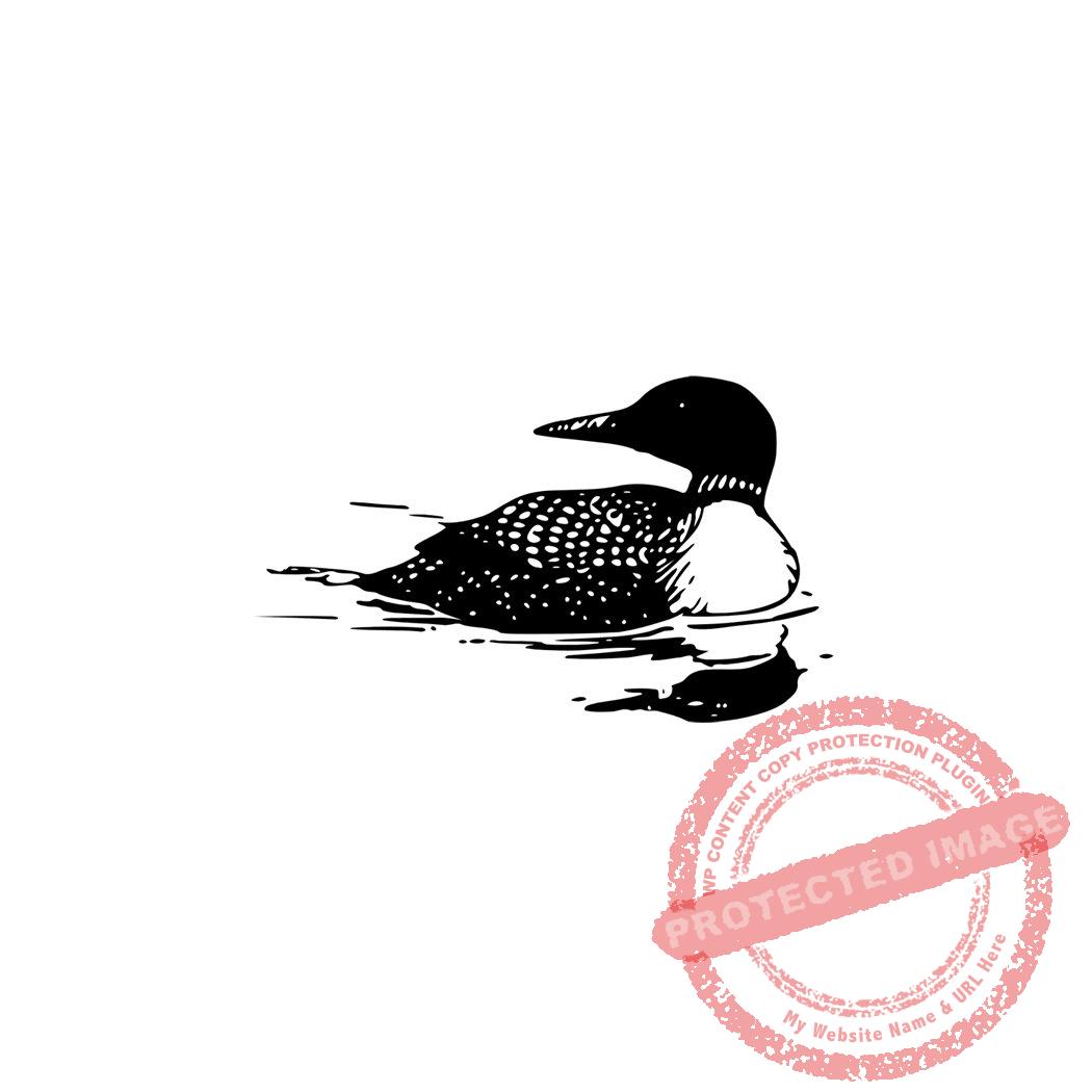 Loon (large, from set) T14-379 C