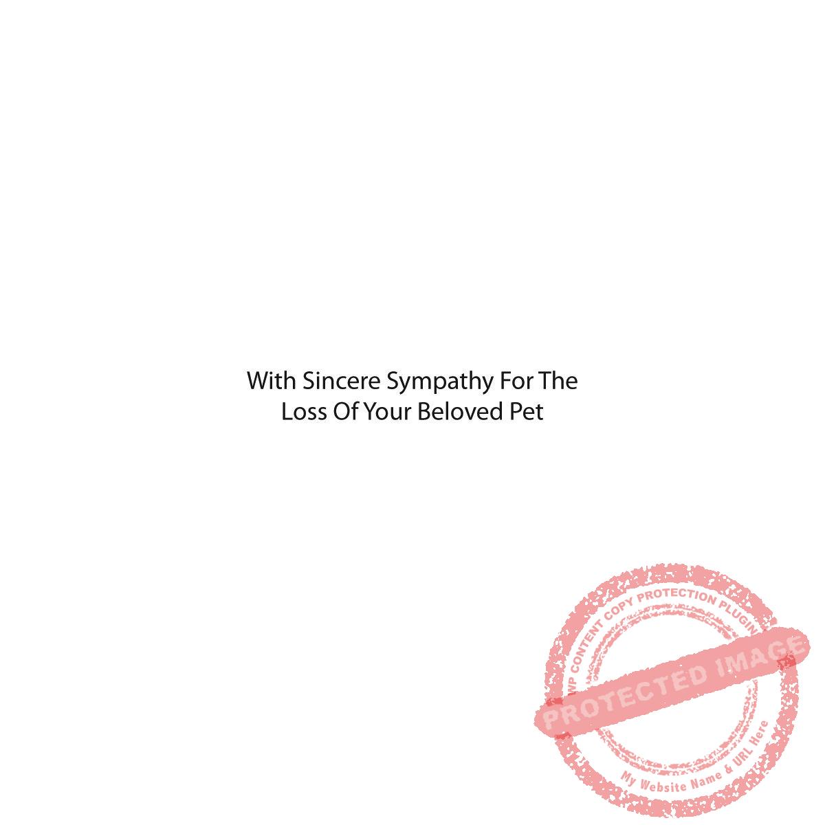 Pet Sympathy T5-131 A