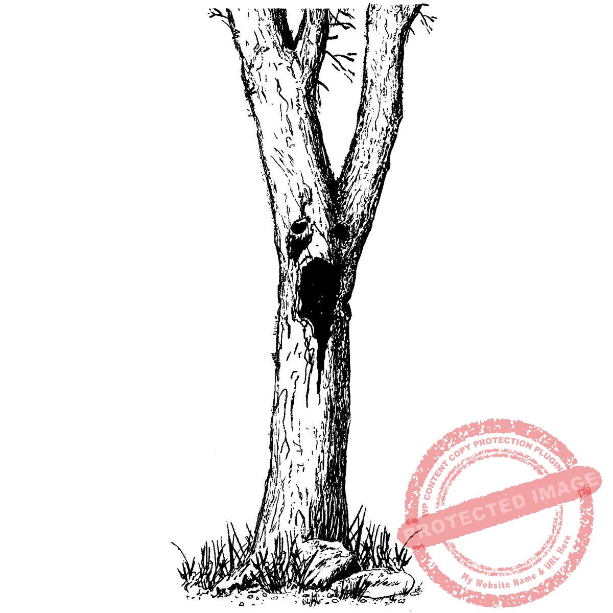 Wood Spirit Tree (all seasons) T5-120 E