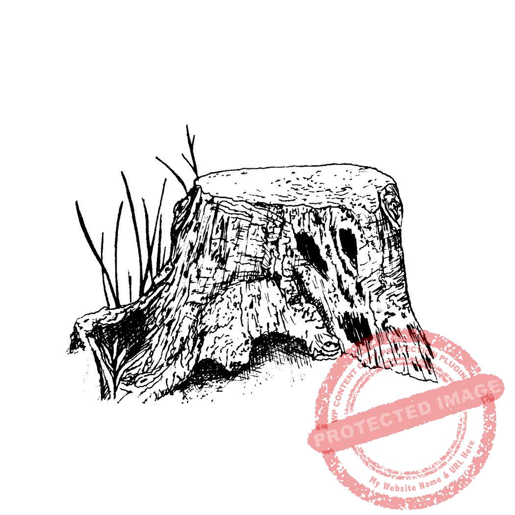 Wood Spirit Stump Facing Right T5-114 C