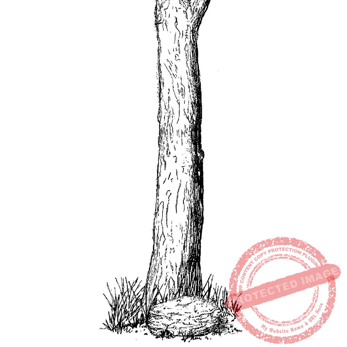 Tree Trunk Narrow T5-118 E