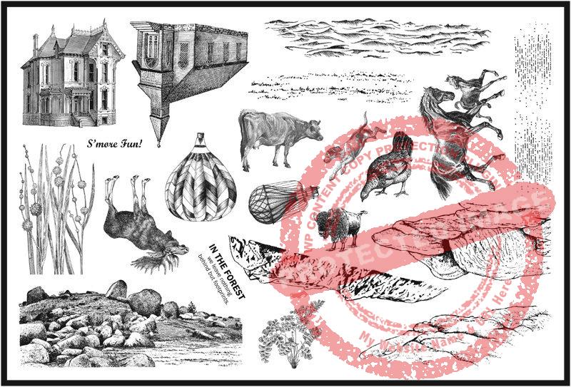 Finely Detailed, Plate 6