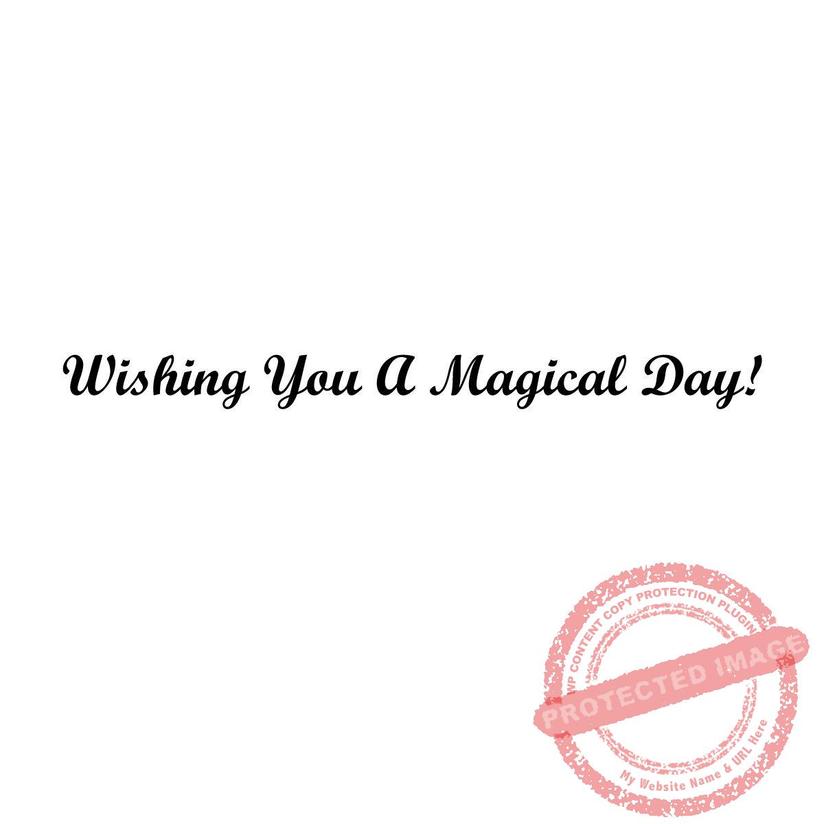 Magical Day T12-288 D