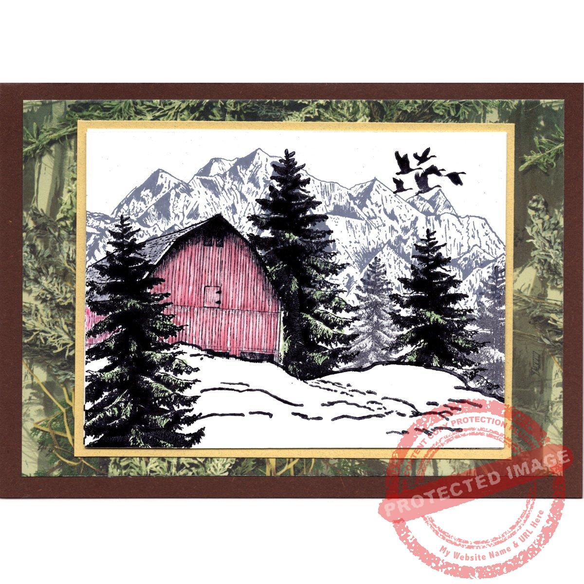 Midwest Barn T1-004 F - Image 4