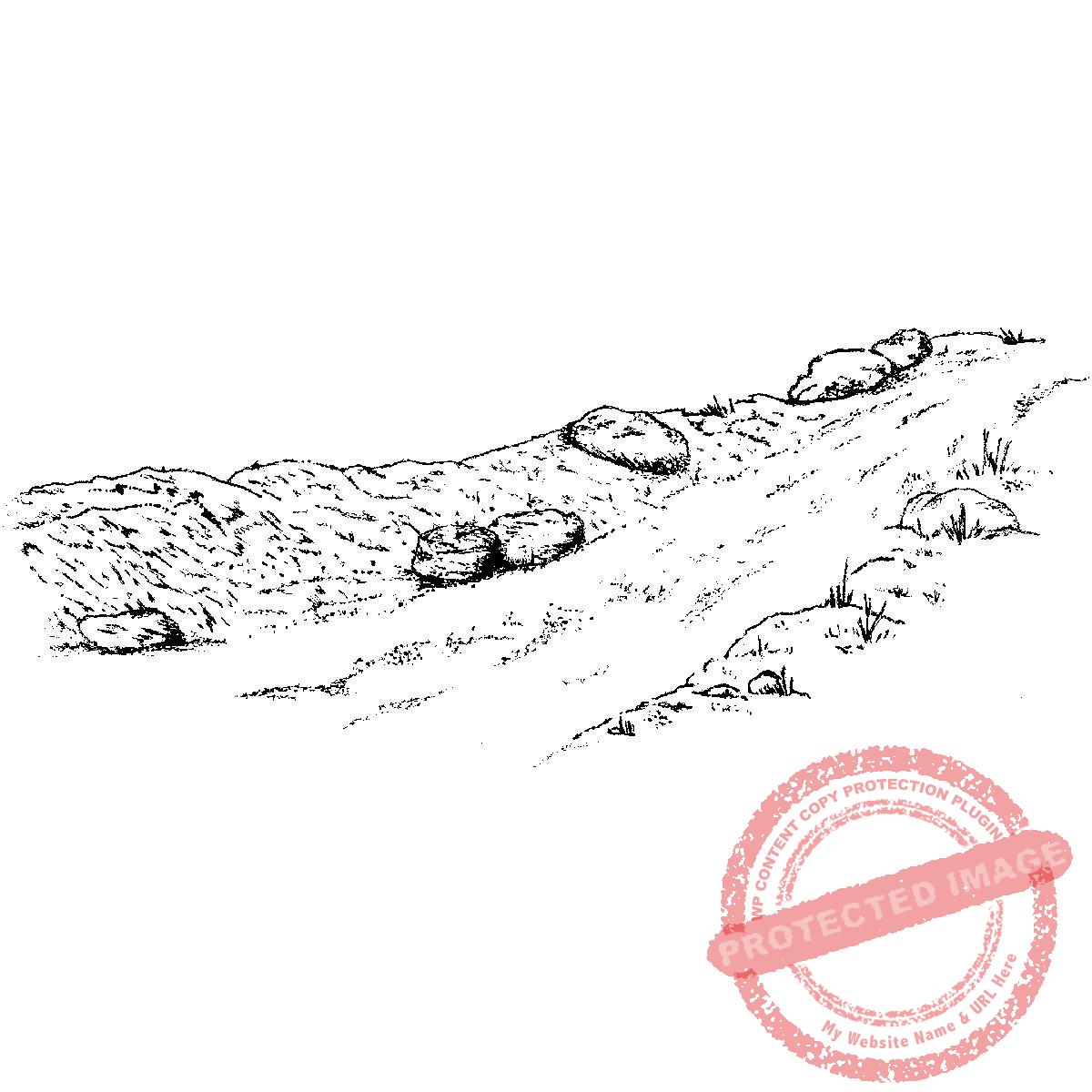 Path Landscape Stamp with Left Bank T12-280 F