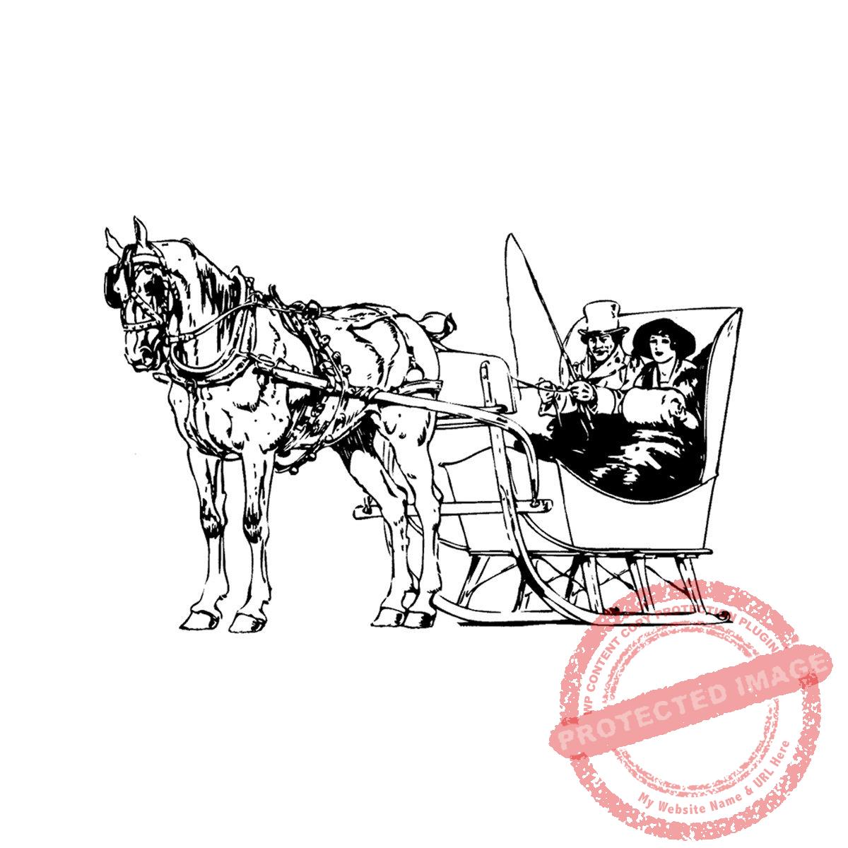 Winter Sleigh T12-286 G