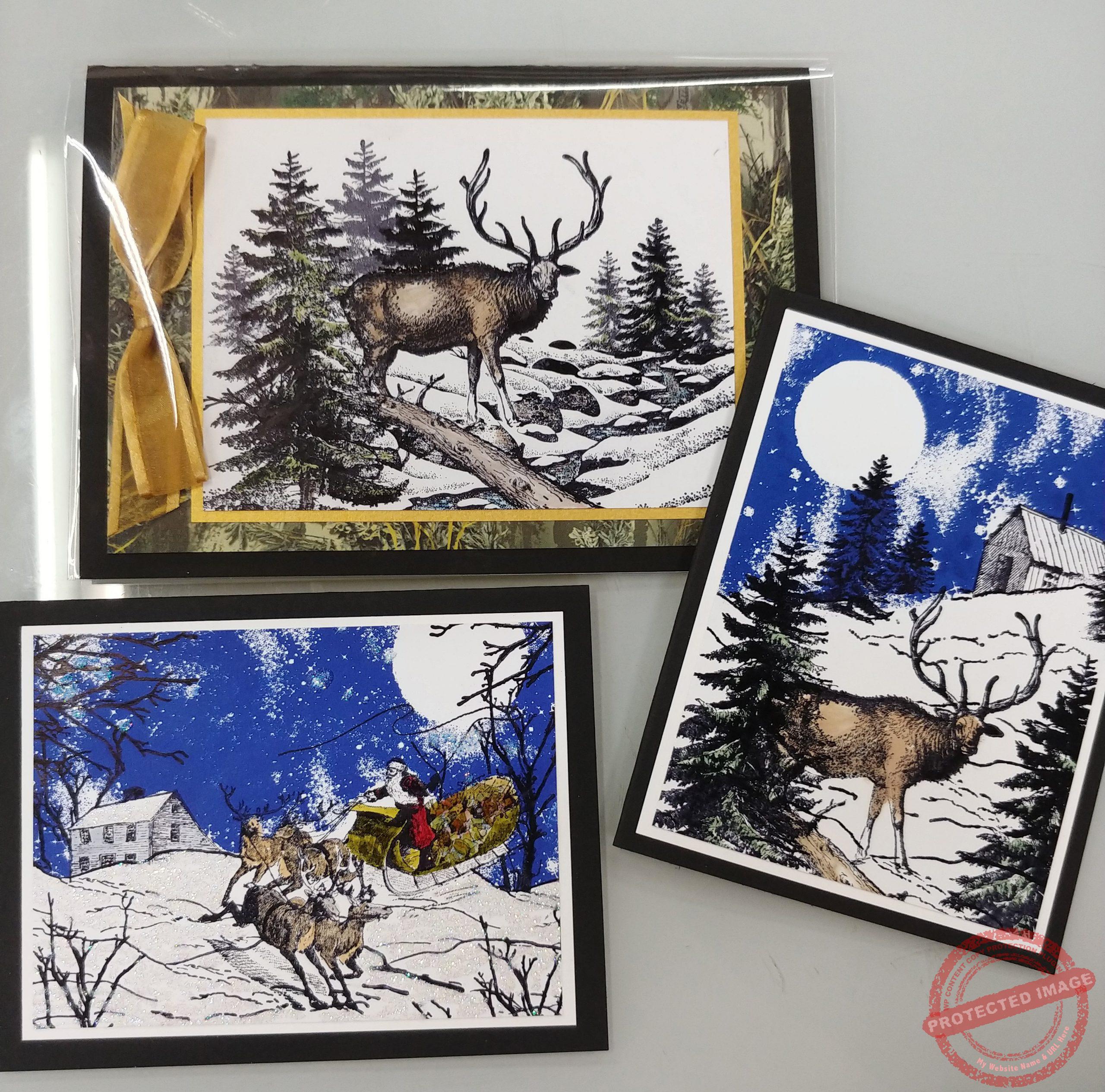 Winter Class Set 2018 (Plate 14 classes) - Image 3