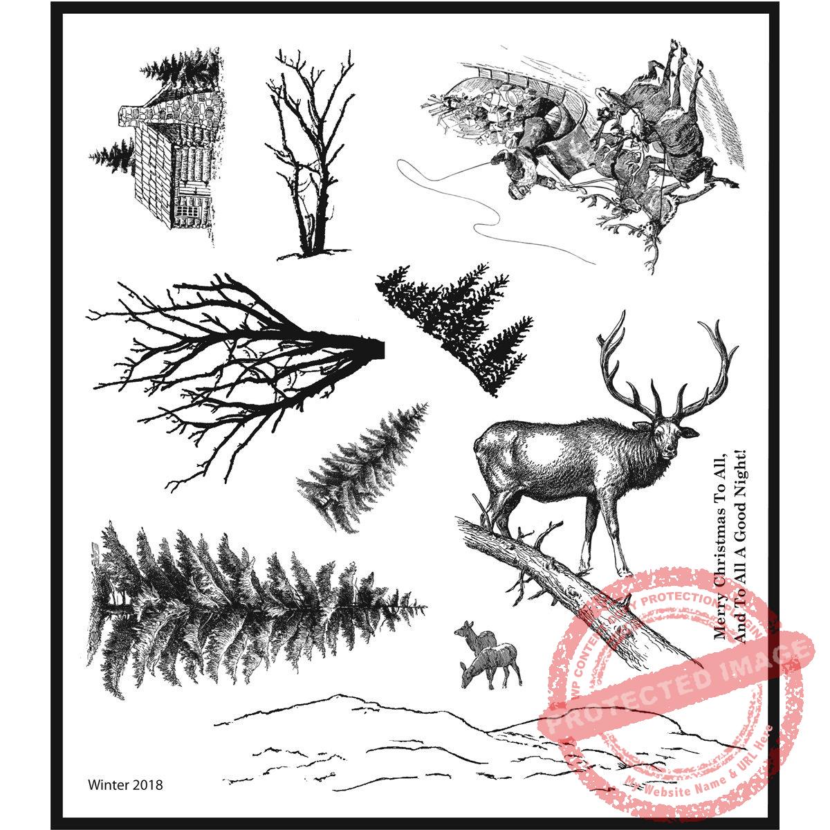Winter Class Set 2018 (Plate 14 classes)