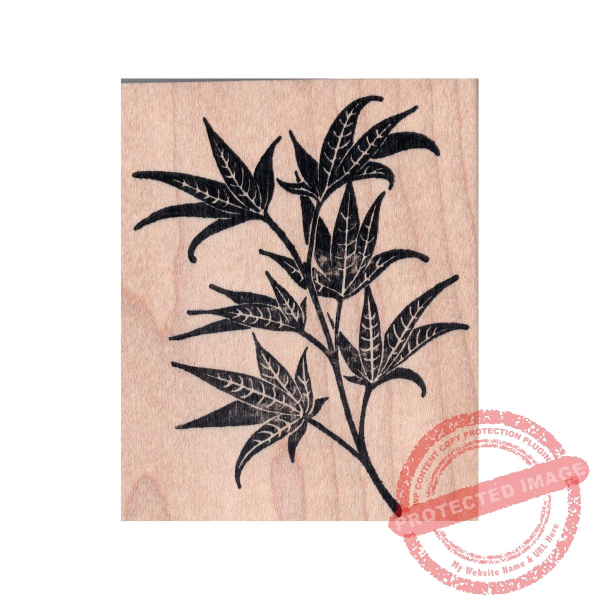 Japanese Maple Bold Stamp 404E