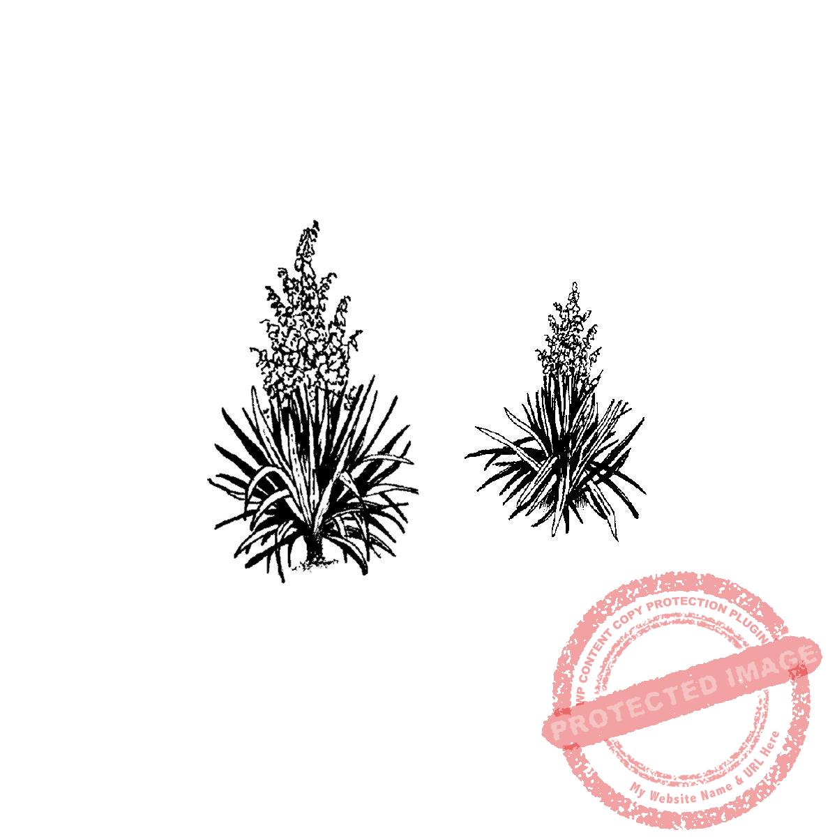 Flowering Yucca Set, T16-345 D