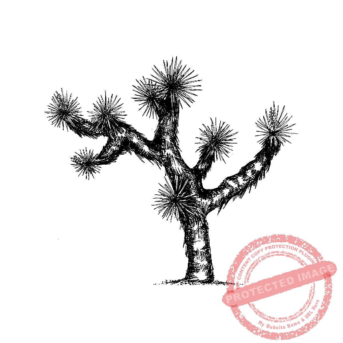 Joshua Tree Large, M16-332 G