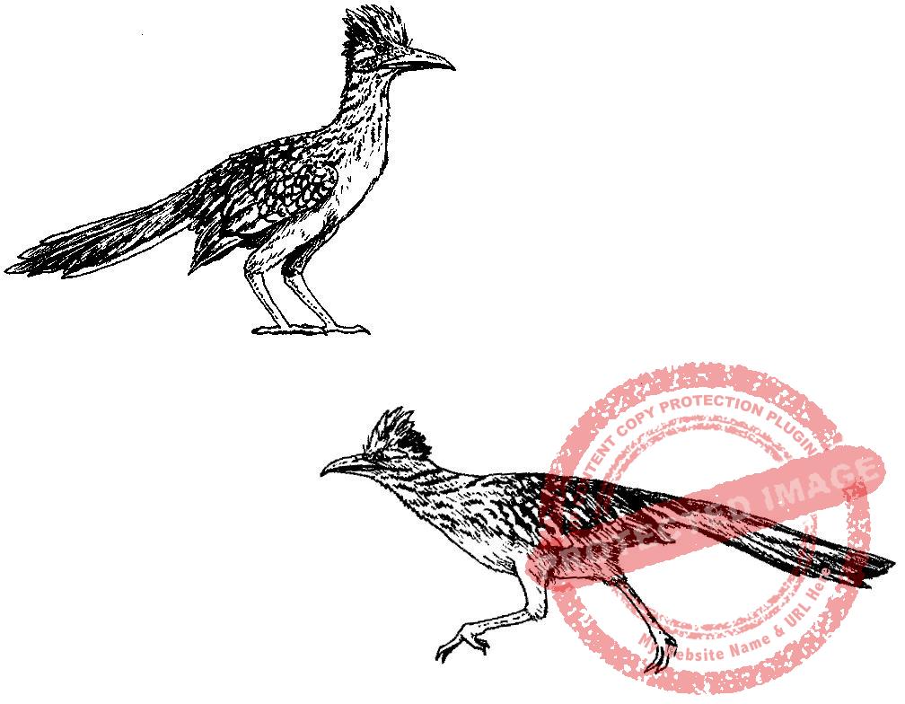 Roadrunner Set, P16-330 F