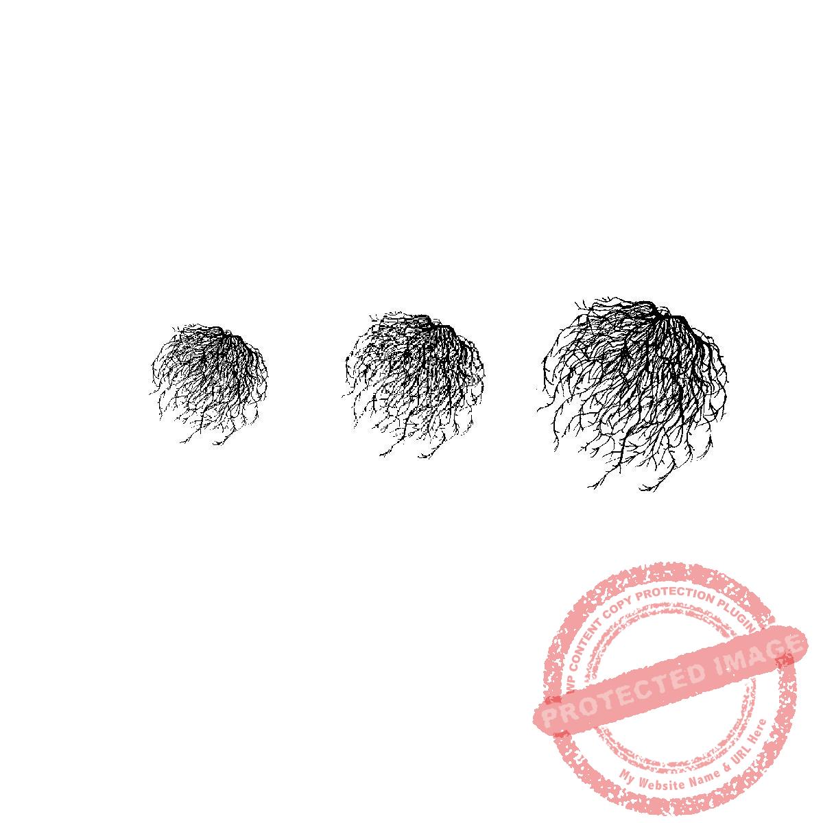 Tumbleweed Set, P16-331 E