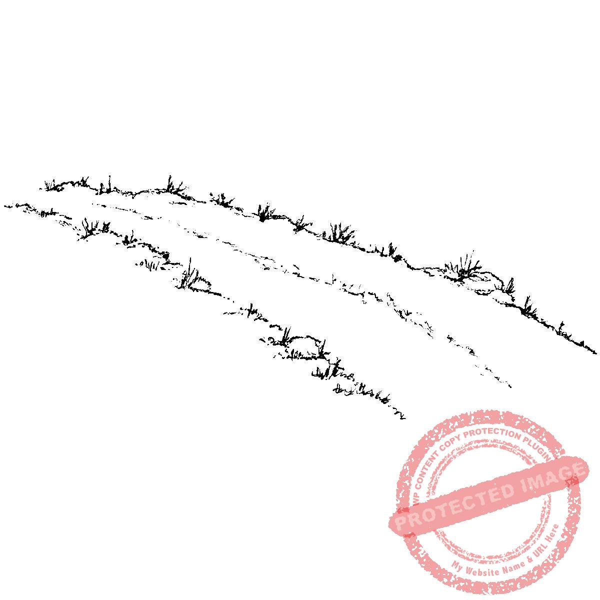 Dirt Road T15-319E