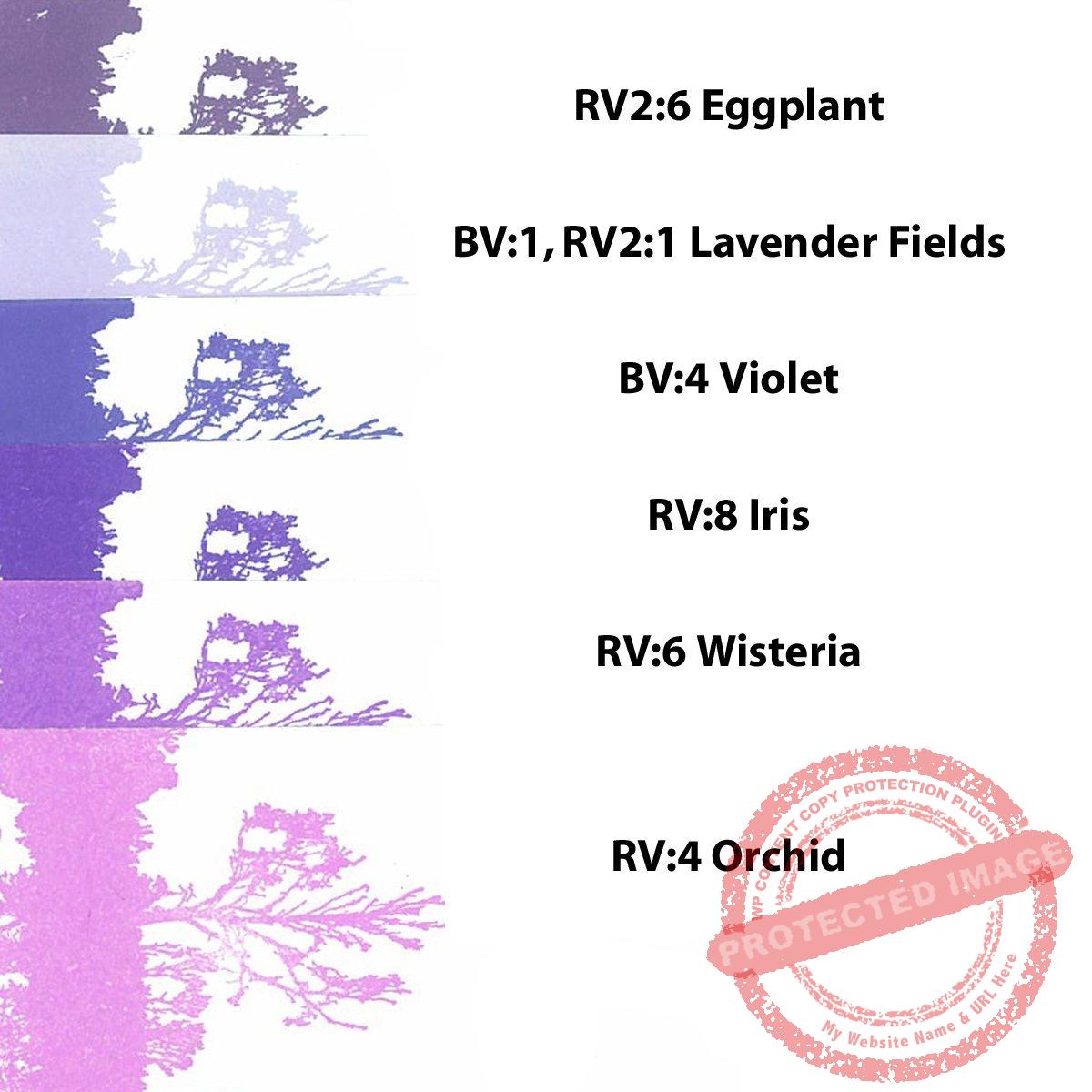 Eggplant RV2:6 Scenic Stamping Ink