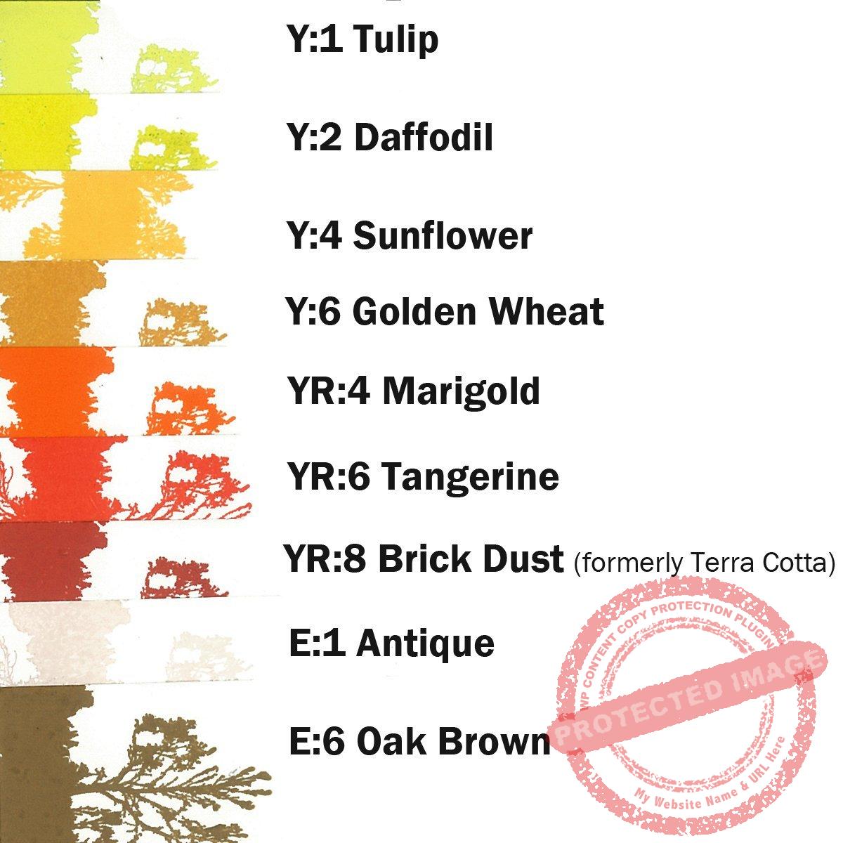 Golden Wheat Y:6 Scenic Stamping Ink
