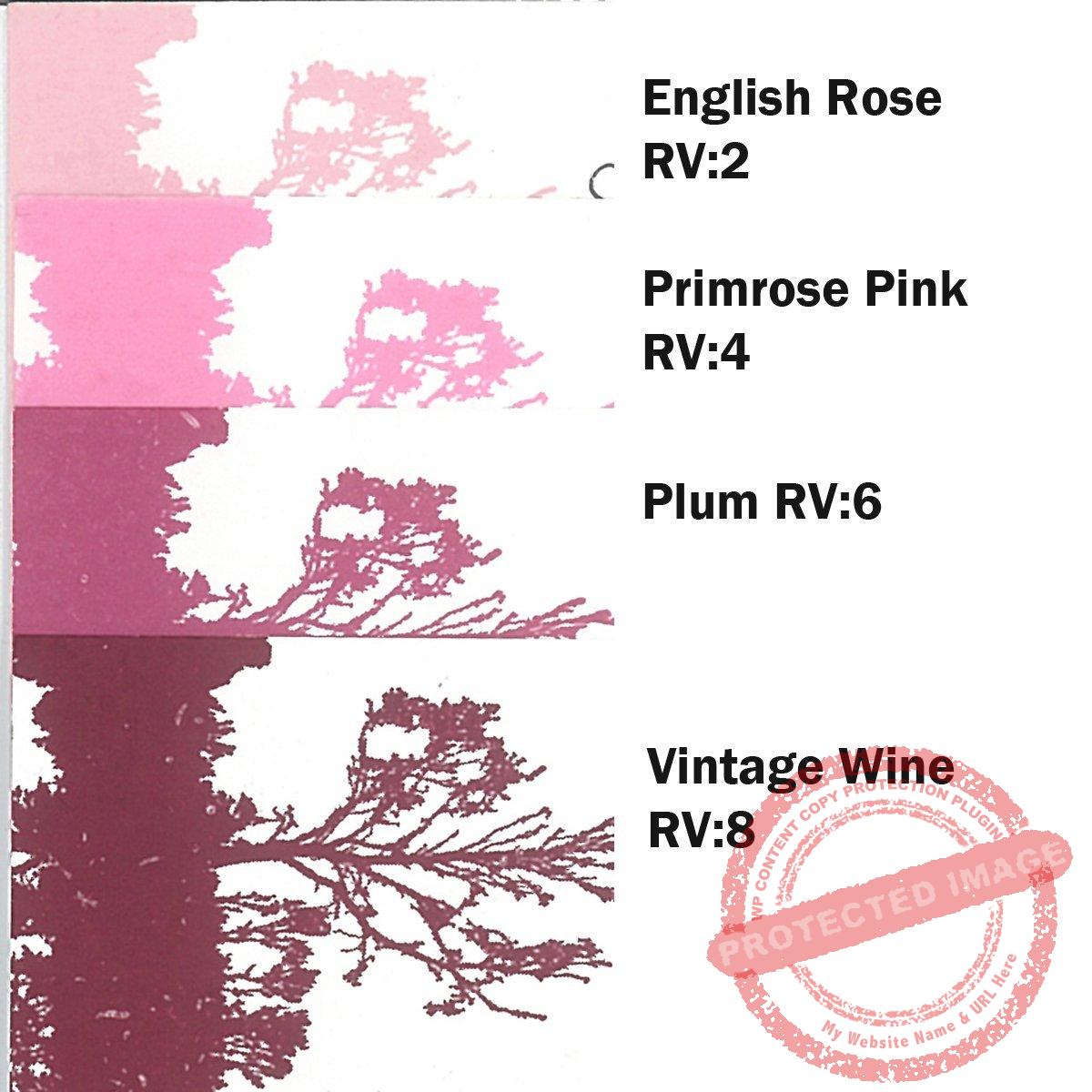 Primrose Pink RV:4 Scenic Stamping Ink