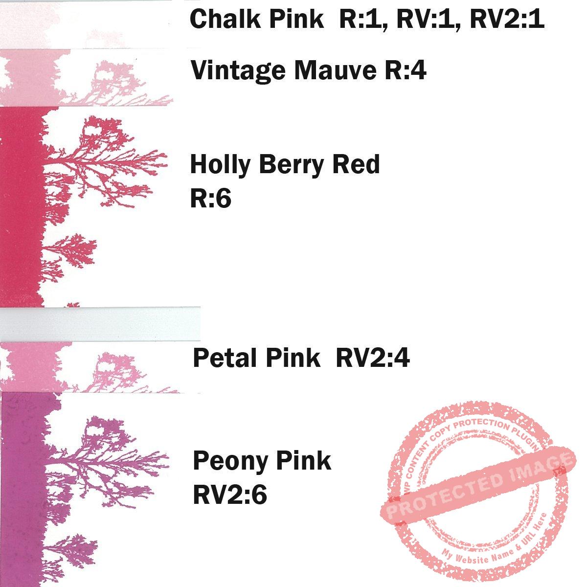 Holly Berry Red R:6 Scenic Stamping Ink
