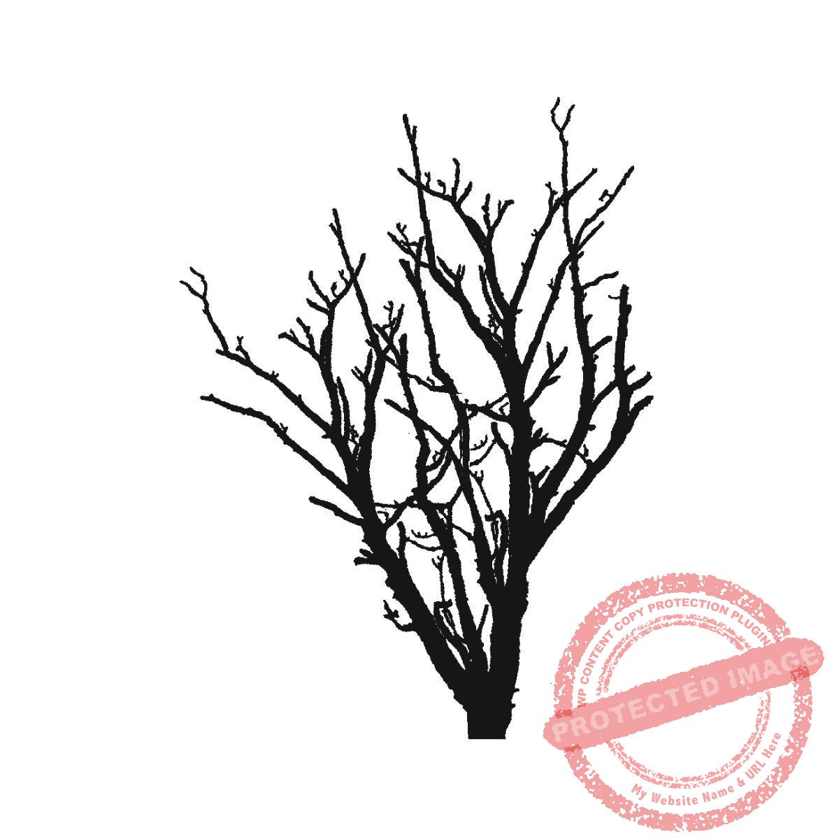 Winter Bush T14-296 F