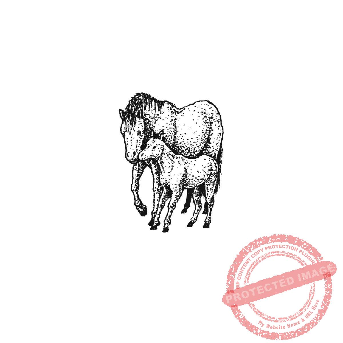 A Mare's Love, P20-419 C