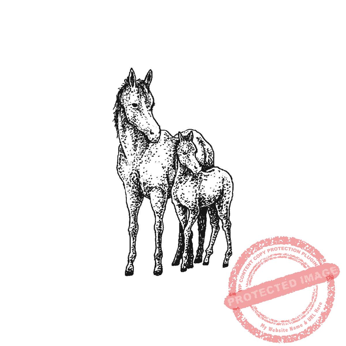 Alert Mare and Foal, P20-417 E