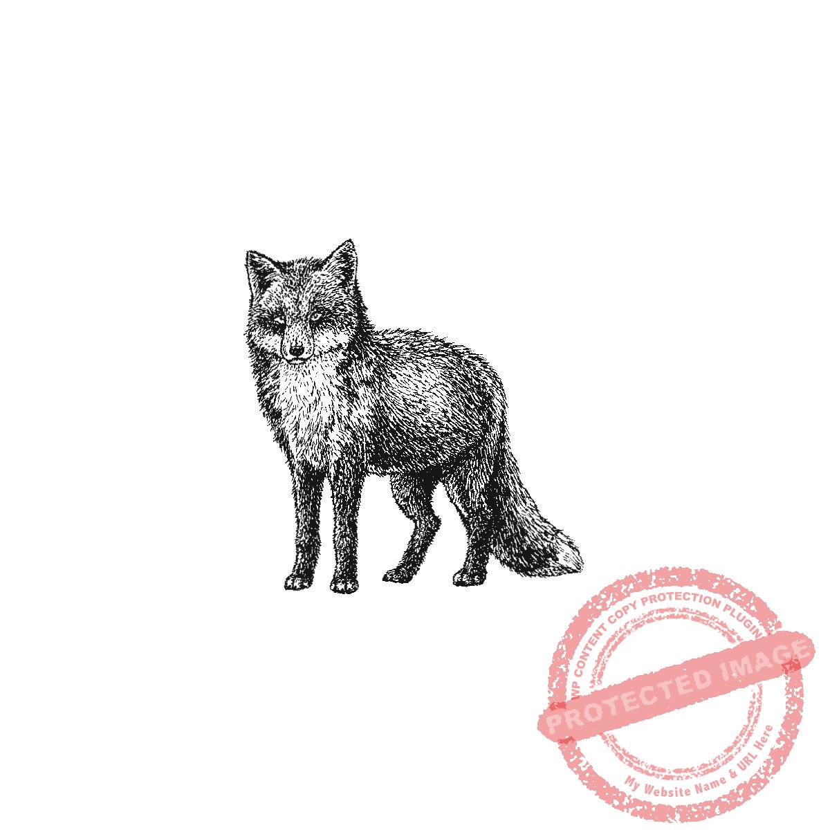 Classic Fox, P20-422 C