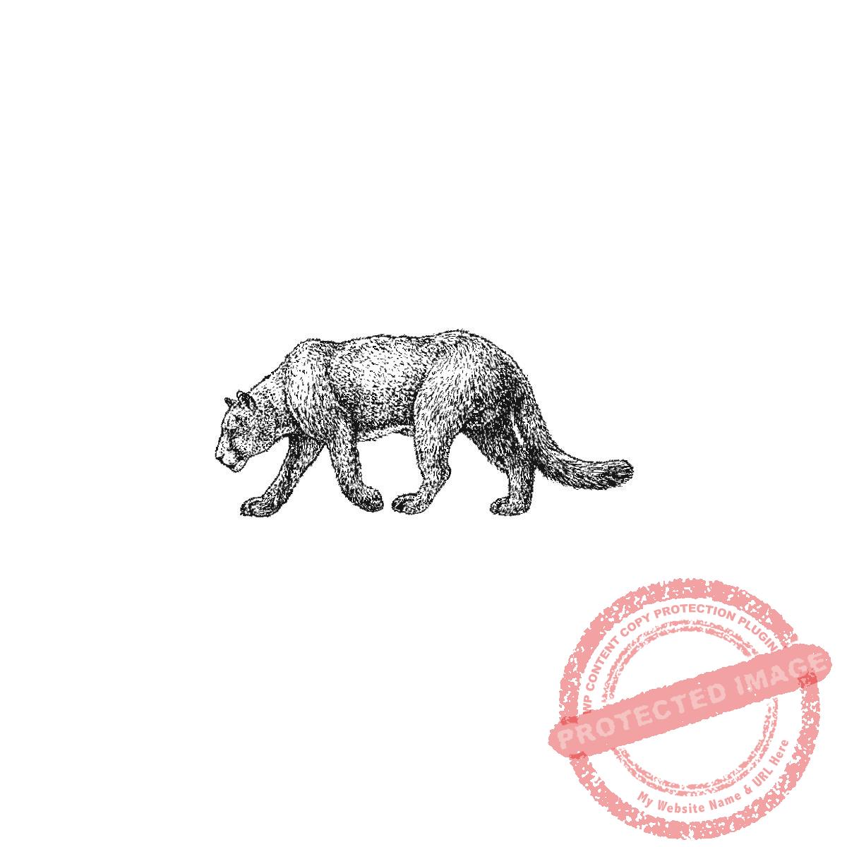 Cougar Hunting, P21-451 C