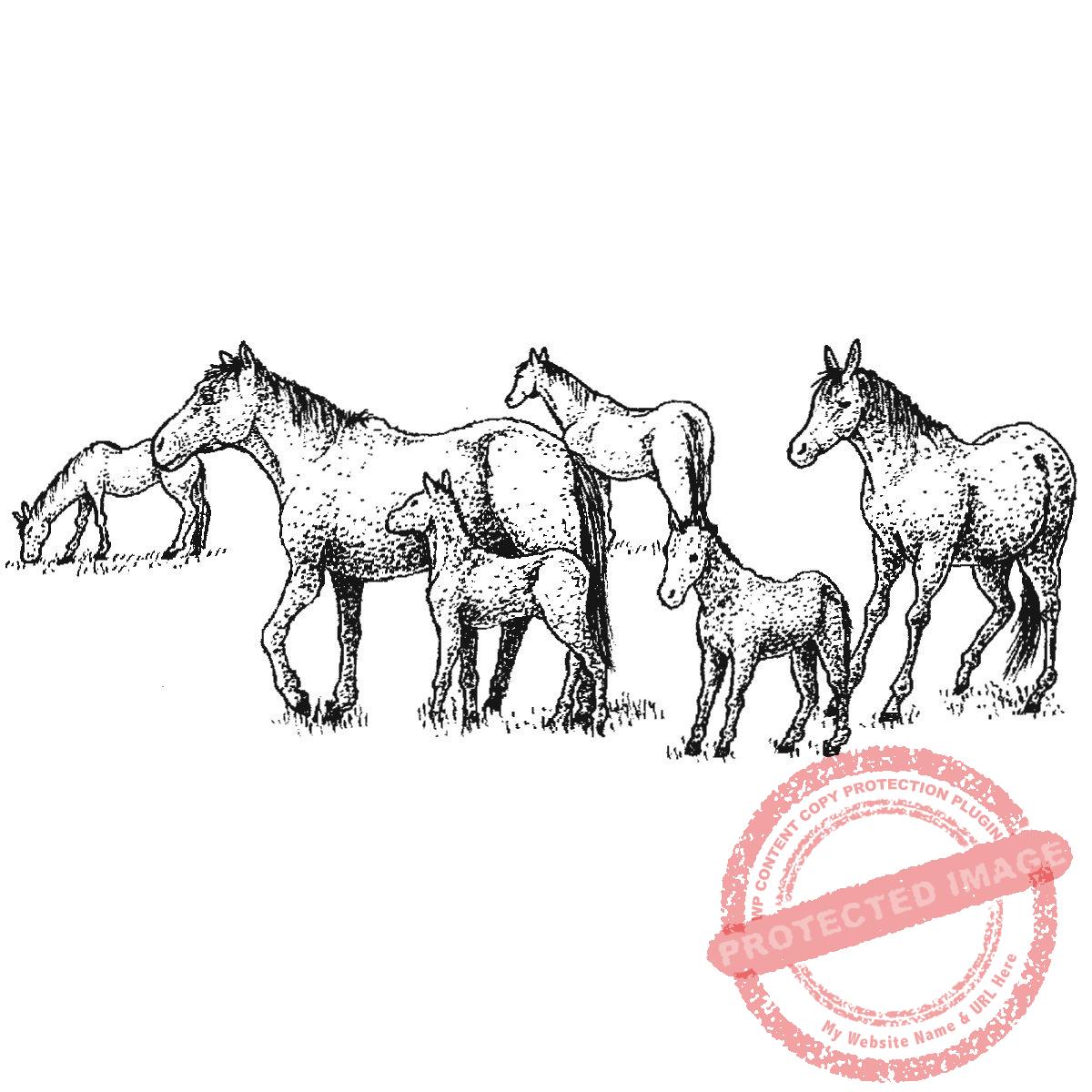 Field Of Horses, P20-414 G