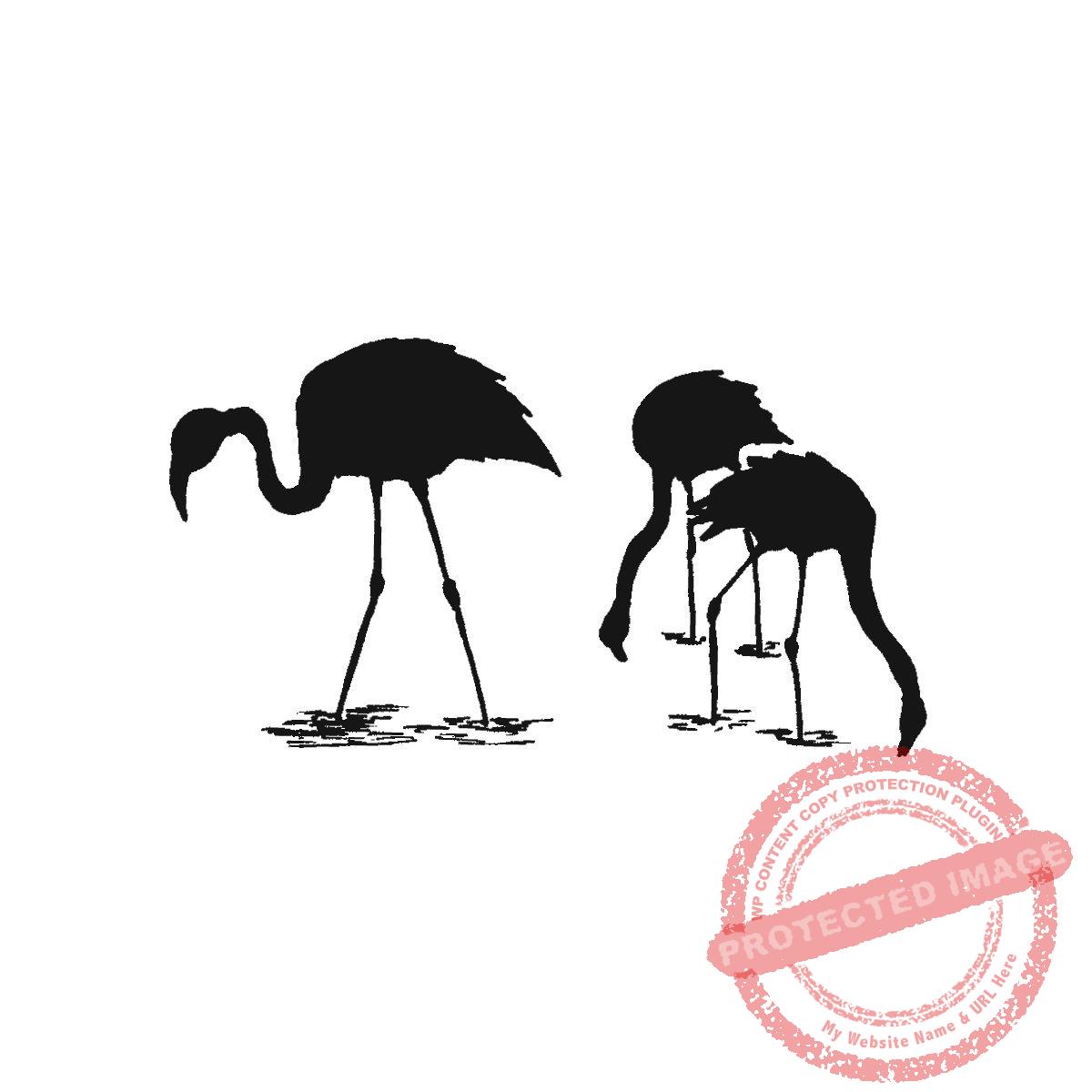 Flamingos Silhouetted, M23-471 F
