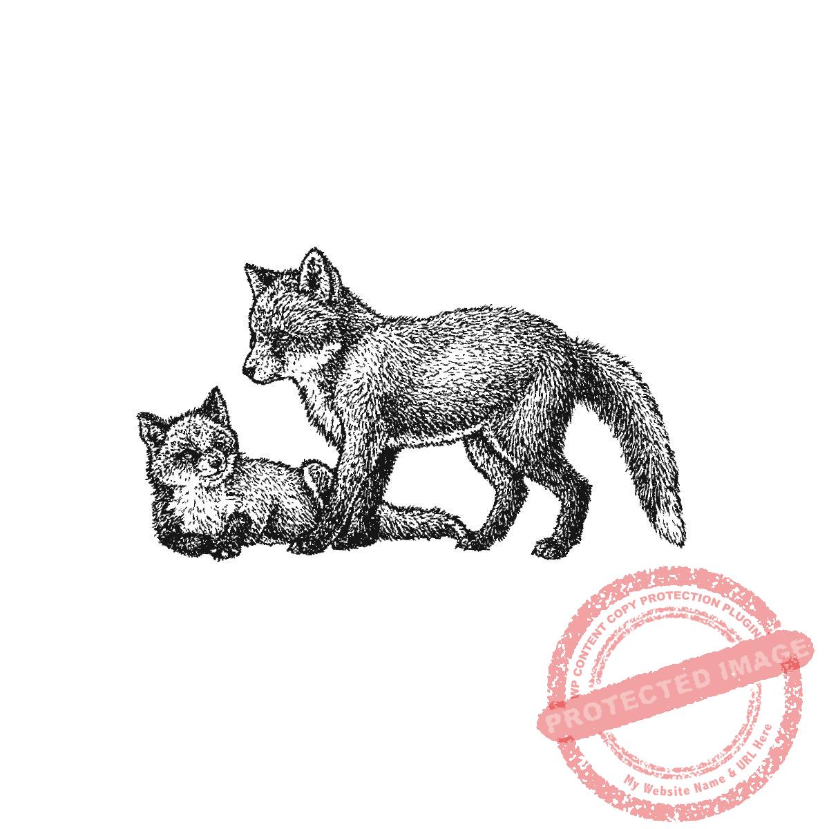 Fox Pair, P20-427 F