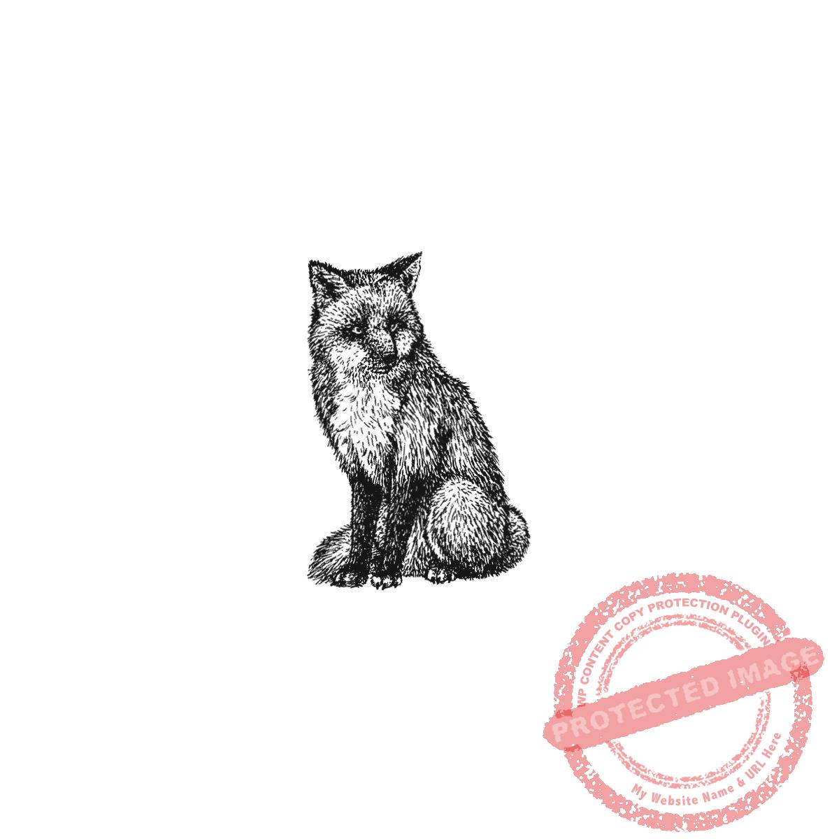 Fox Sitting, P20-424 B