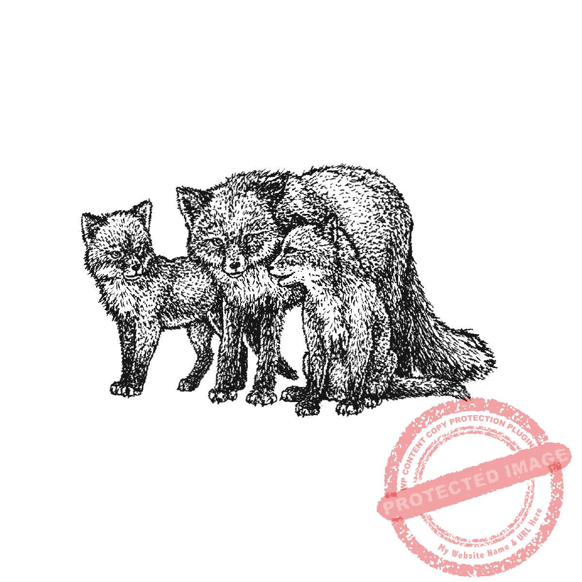 Fox with Twin Pups, P20-421 F