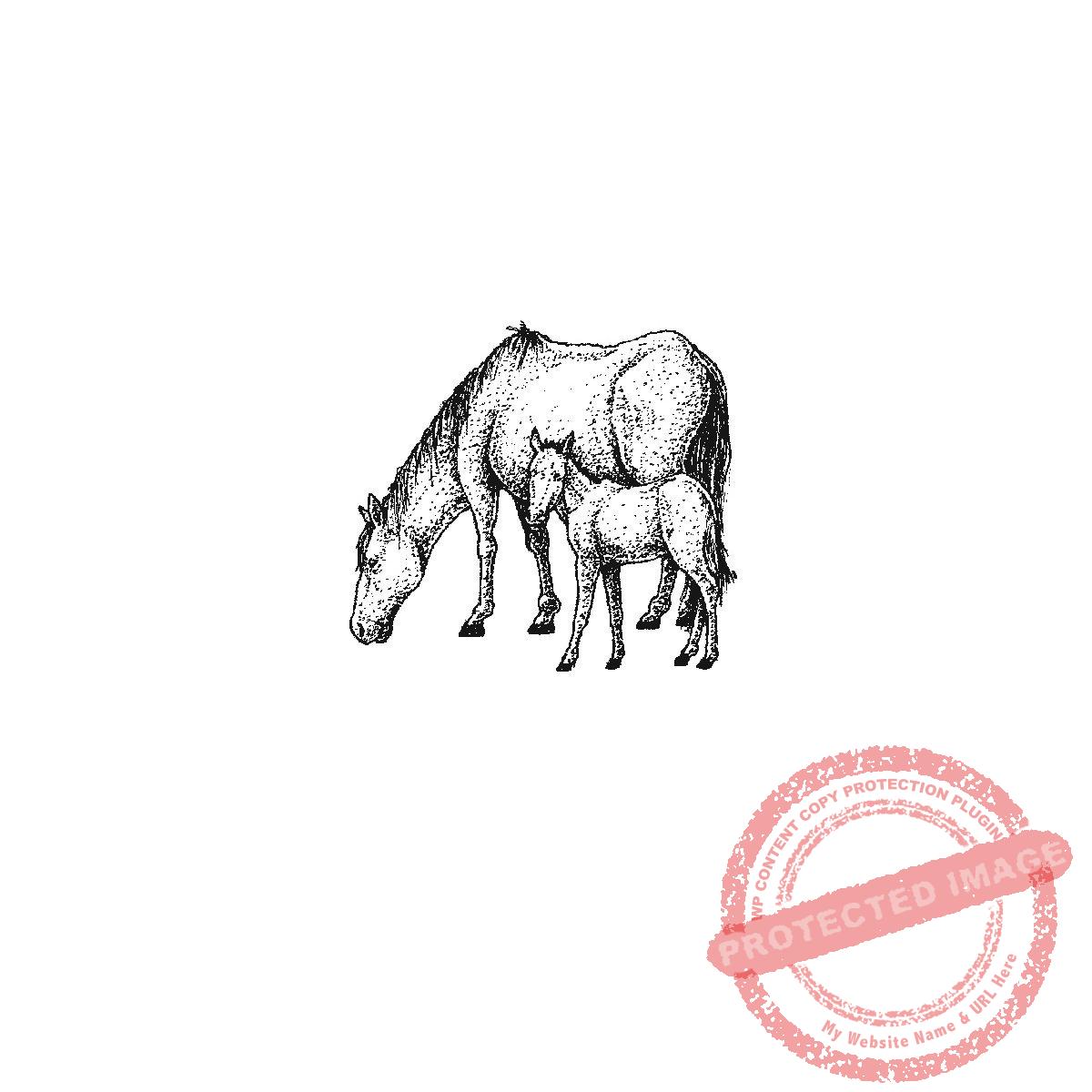 Grazing Mare and Foal, P20-418 C
