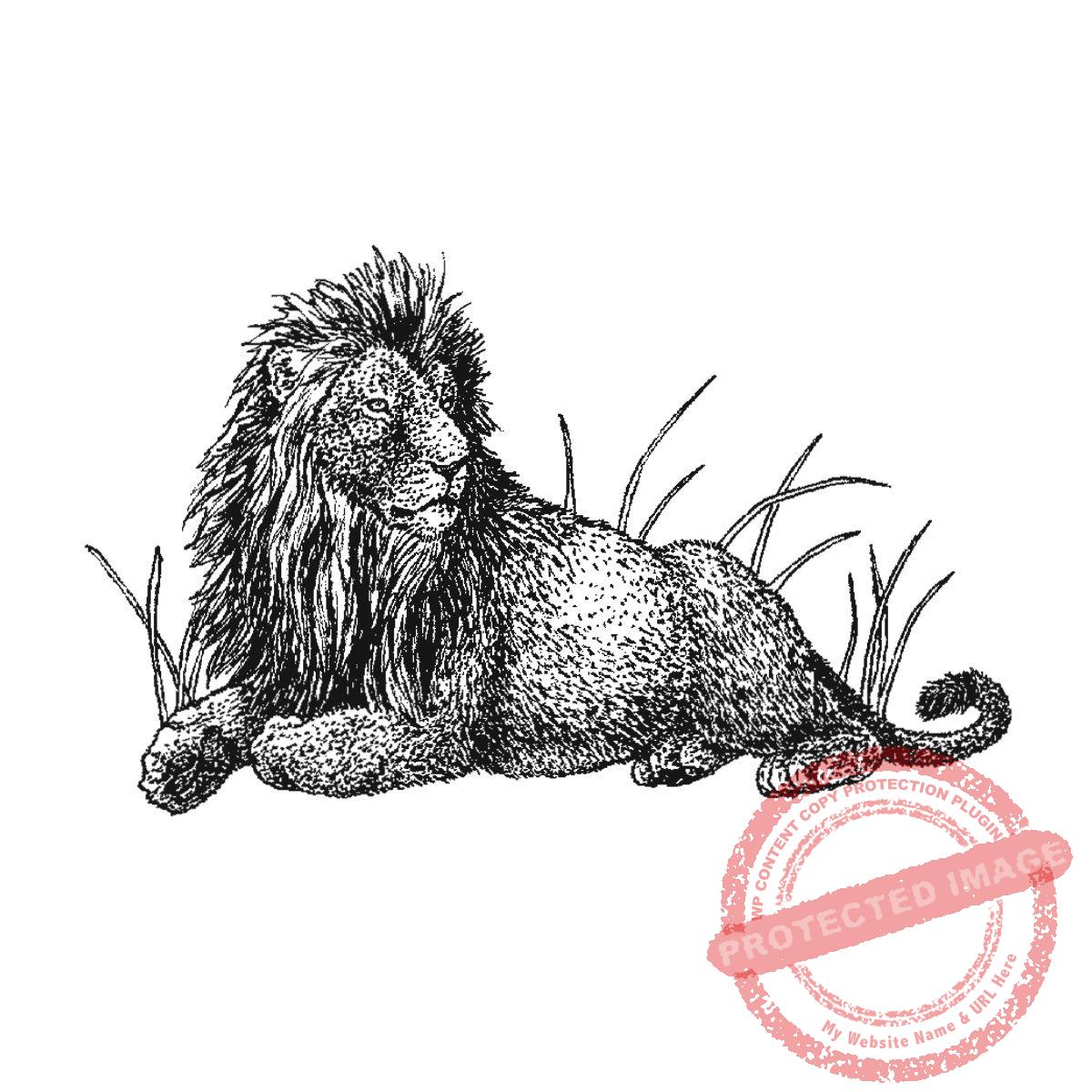 Lion King, Large, P21-432 F