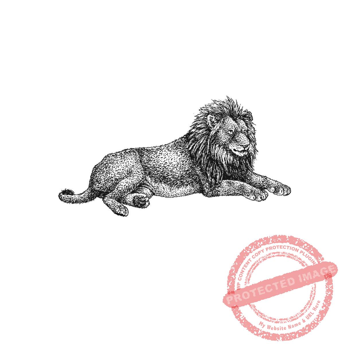 Lion King_2, medium, P21-445 E