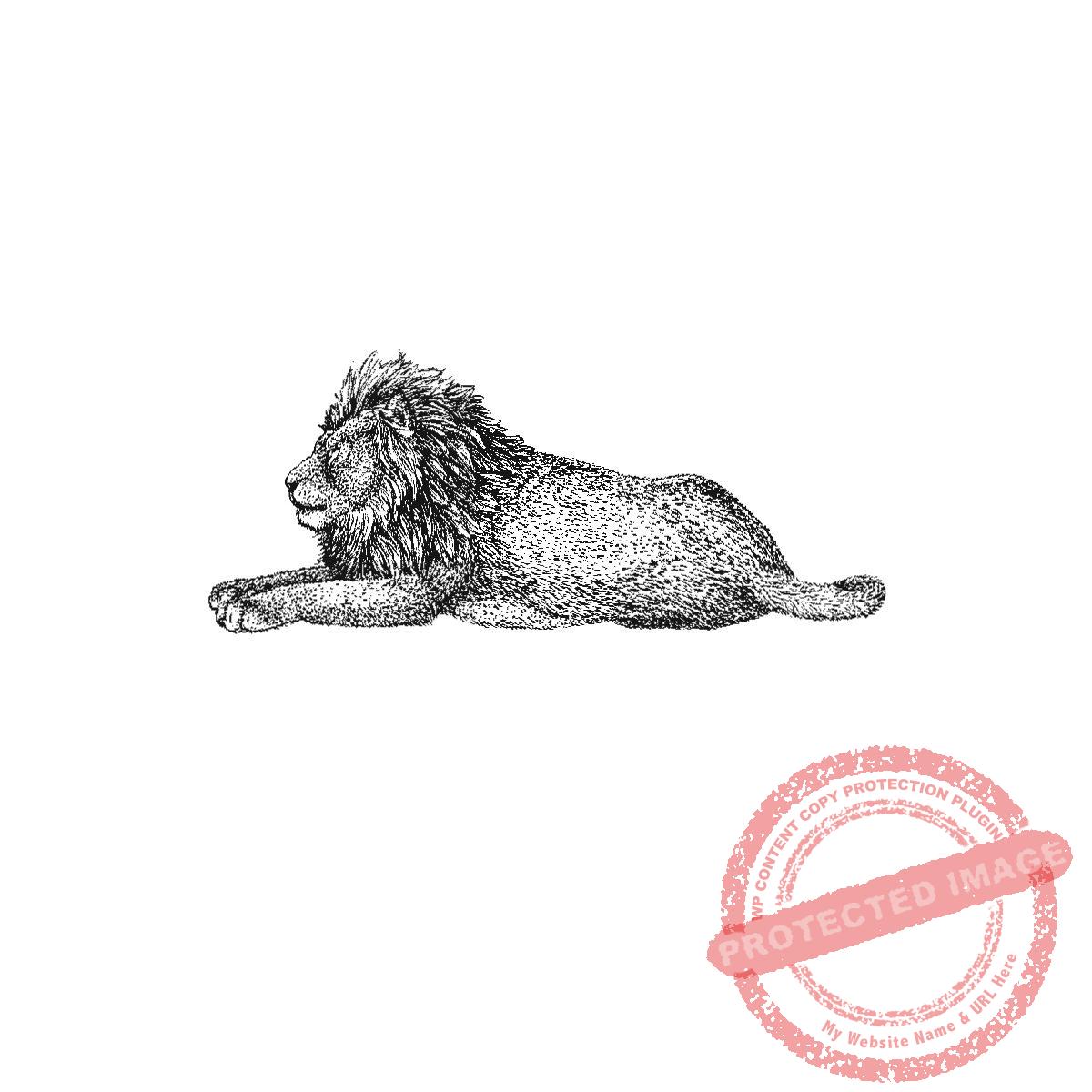 Lion King_3, small, P21-444 D