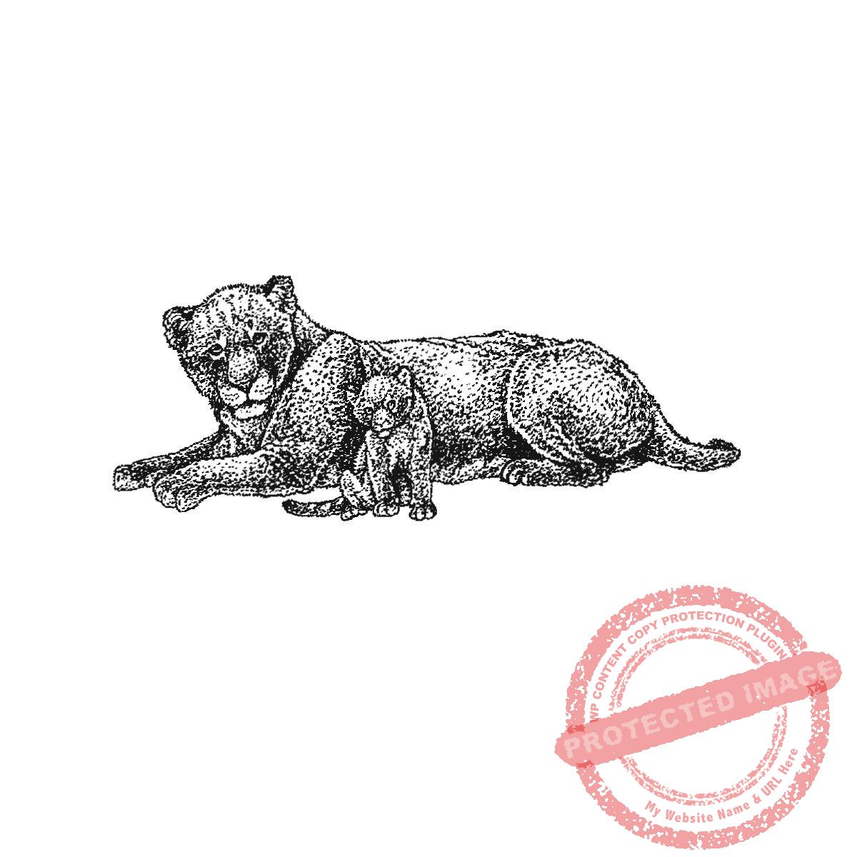 Lioness and Cub, P21-433 D
