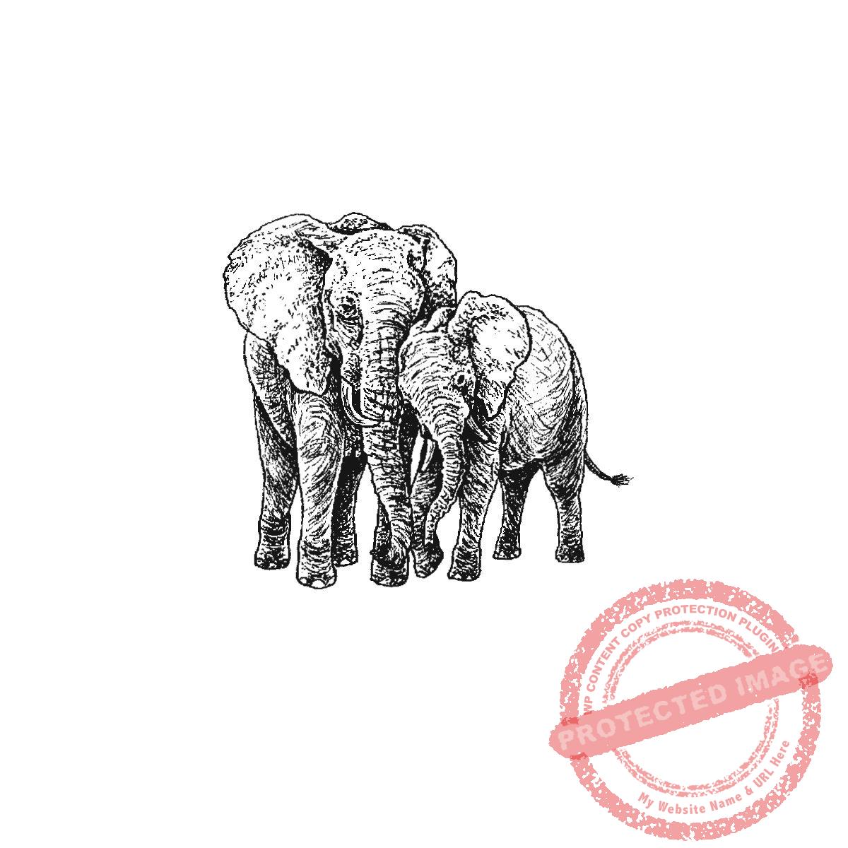 Mama Elephant and Calf, P21-437 D