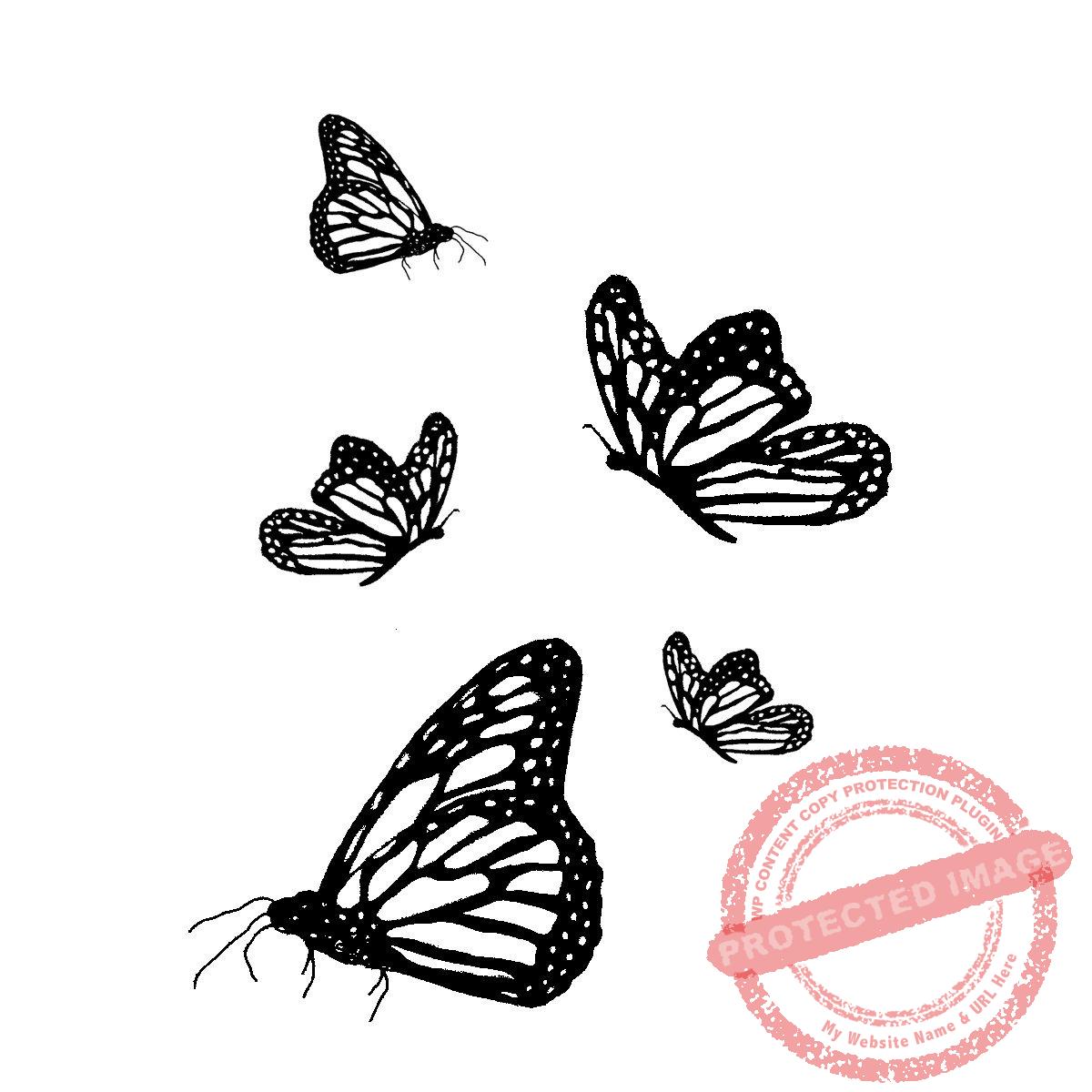 Monarch Butterfly Set of 5 images, T18-382 G
