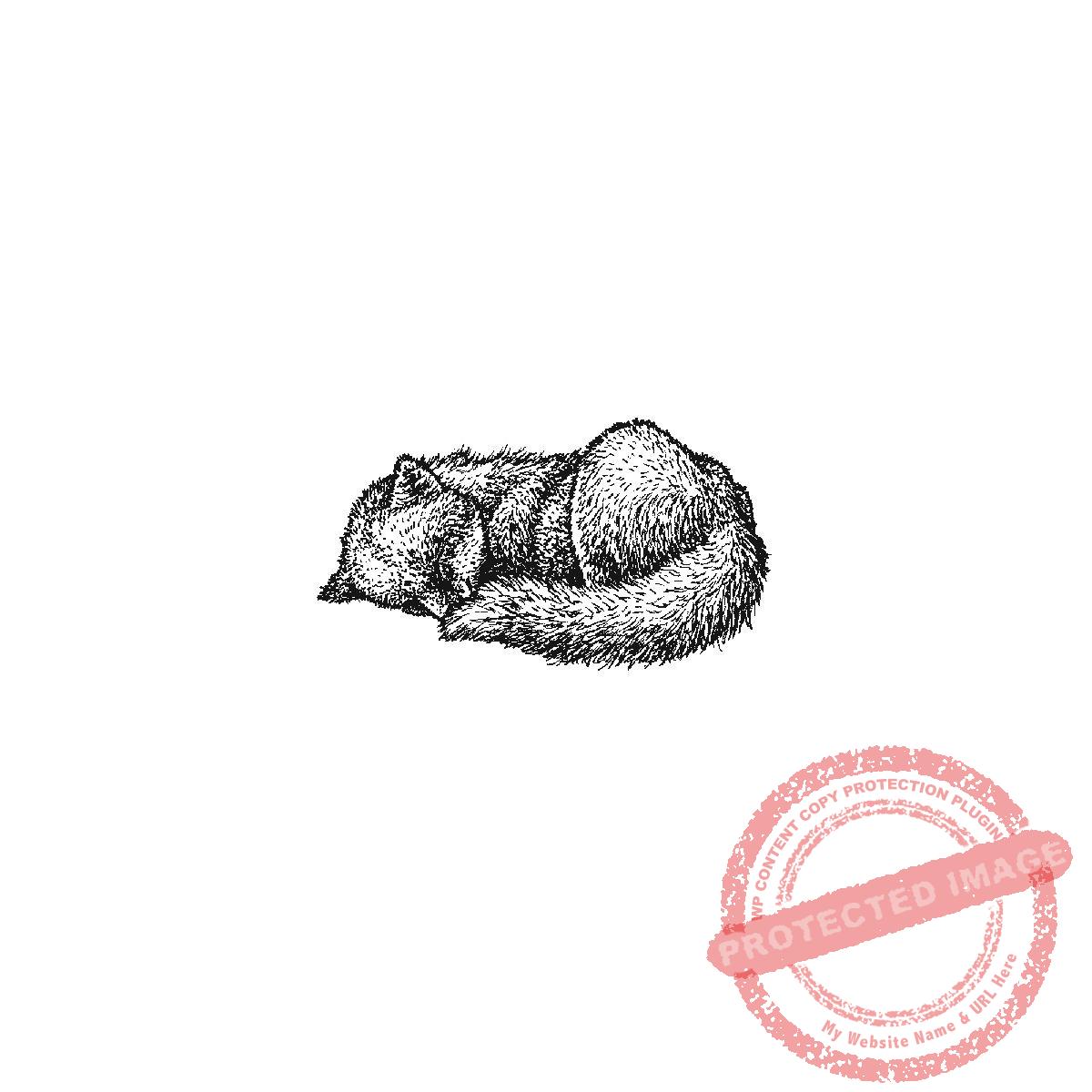 Napping Fox, P20-423 B