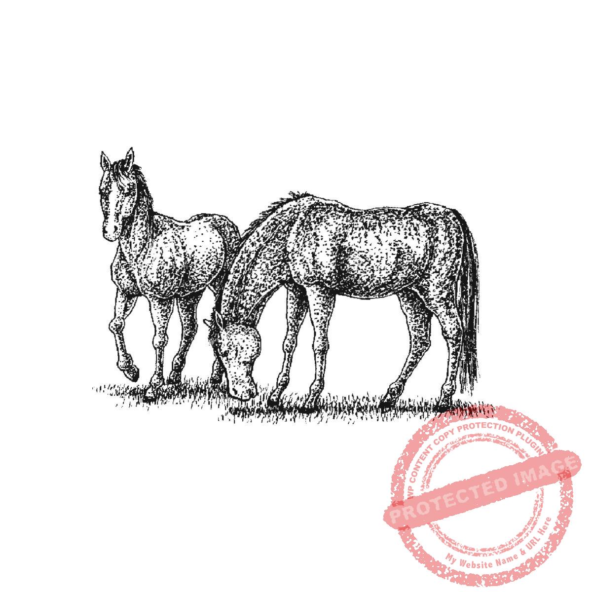 Pair of Dark Horses, P20-416 F