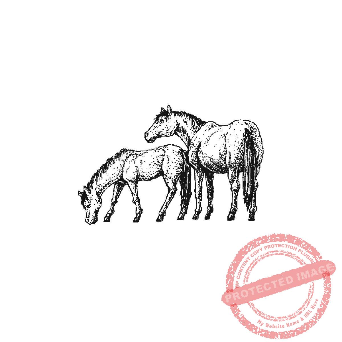 Pair of Light Horses, P20-415 D