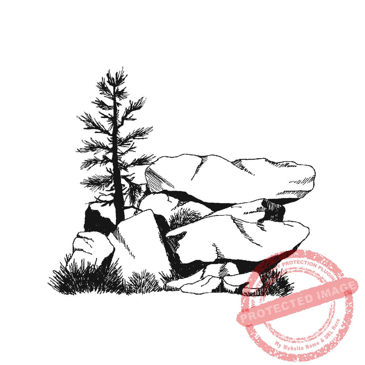 Pine with Boulders, M23-470 H