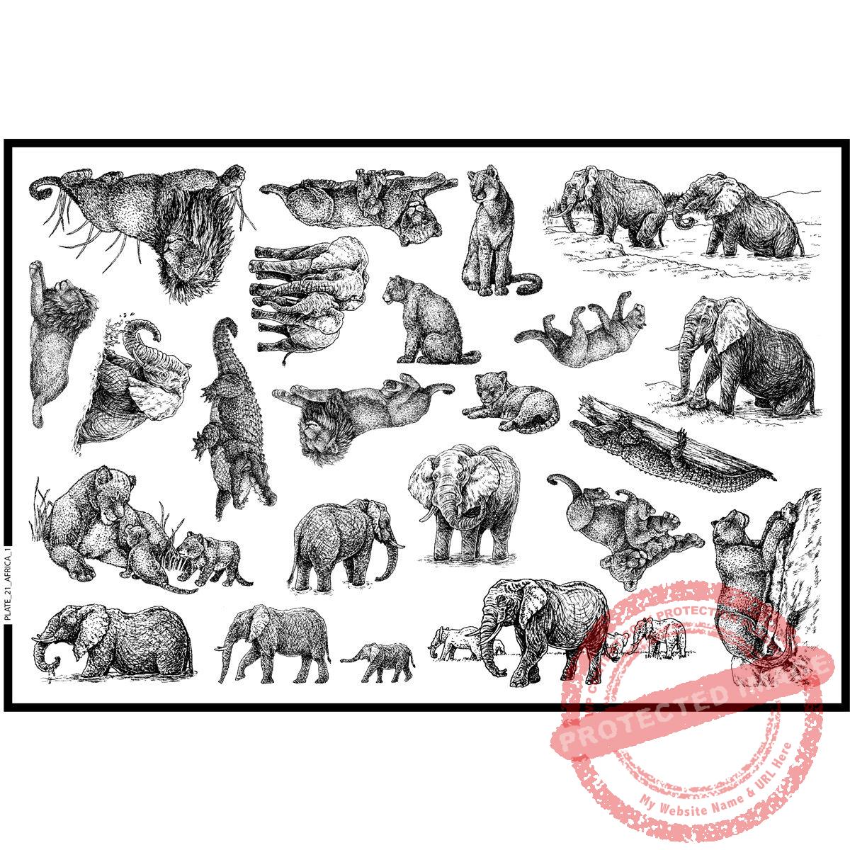 Plate 21, Africa 1