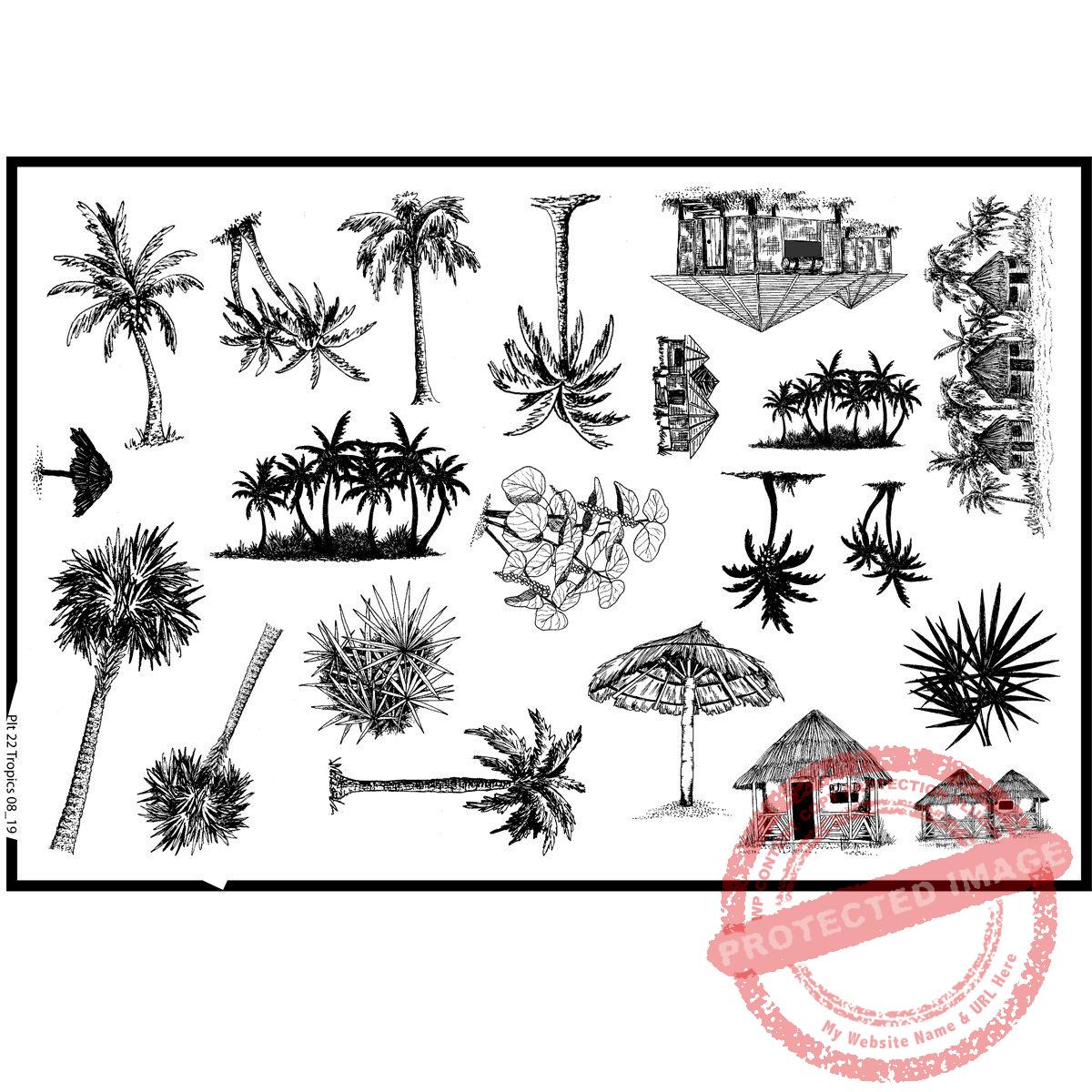 Plate 22, The Tropics